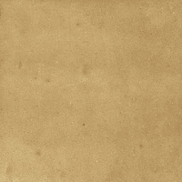 40842_SAMIRA GOLD LT//R Harmony Samira