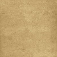 40842_SAMIRA GOLD LT//R Harmony Samira