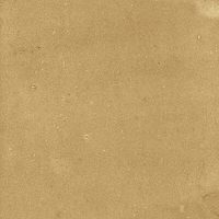 40842_SAMIRA GOLD LT//R Harmony Samira