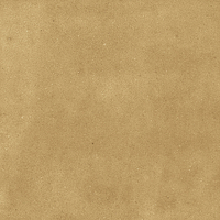 40842_SAMIRA GOLD LT//R Harmony Samira