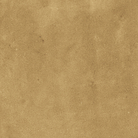 40842_SAMIRA GOLD LT//R Harmony Samira