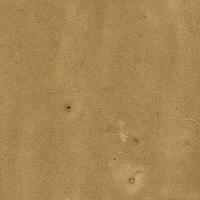 40842_SAMIRA GOLD LT//R Harmony Samira