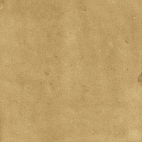 40842_SAMIRA GOLD LT//R Harmony Samira