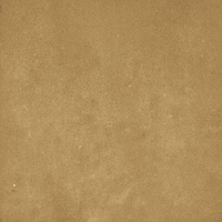 40842_SAMIRA GOLD LT//R Harmony Samira