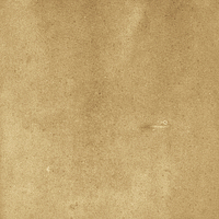 40842_SAMIRA GOLD LT//R Harmony Samira