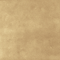 40842_SAMIRA GOLD LT//R Harmony Samira