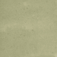 40845_SAMIRA SAGE LT//R Harmony Samira