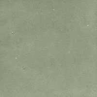 40845_SAMIRA SAGE LT//R Harmony Samira