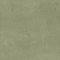 40845_SAMIRA SAGE LT//R Harmony Samira