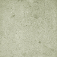 40845_SAMIRA SAGE LT//R Harmony Samira