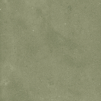 40845_SAMIRA SAGE LT//R Harmony Samira