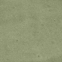 40845_SAMIRA SAGE LT//R Harmony Samira