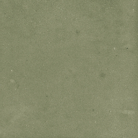 40845_SAMIRA SAGE LT//R Harmony Samira