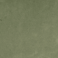 40845_SAMIRA SAGE LT//R Harmony Samira