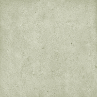 40845_SAMIRA SAGE LT//R Harmony Samira