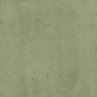 40845_SAMIRA SAGE LT//R Harmony Samira