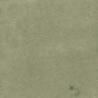 40845_SAMIRA SAGE LT//R Harmony Samira