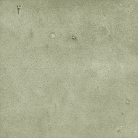 40845_SAMIRA SAGE LT//R Harmony Samira