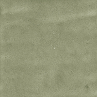 40845_SAMIRA SAGE LT//R Harmony Samira