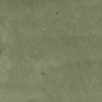 40845_SAMIRA SAGE LT//R Harmony Samira