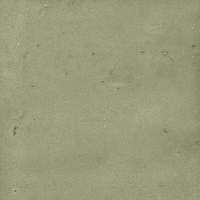 40845_SAMIRA SAGE LT//R Harmony Samira