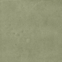 40845_SAMIRA SAGE LT//R Harmony Samira