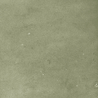 40845_SAMIRA SAGE LT//R Harmony Samira