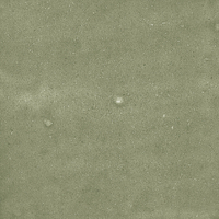 40845_SAMIRA SAGE LT//R Harmony Samira