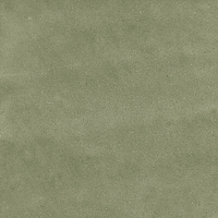 40845_SAMIRA SAGE LT//R Harmony Samira