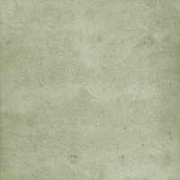 40845_SAMIRA SAGE LT//R Harmony Samira