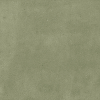 40845_SAMIRA SAGE LT//R Harmony Samira