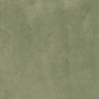 40845_SAMIRA SAGE LT//R Harmony Samira