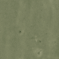 40845_SAMIRA SAGE LT//R Harmony Samira