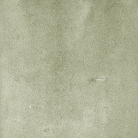 40845_SAMIRA SAGE LT//R Harmony Samira