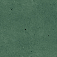 40843_SAMIRA GREEN LT//R Harmony Samira