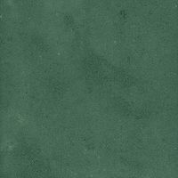 40843_SAMIRA GREEN LT//R Harmony Samira