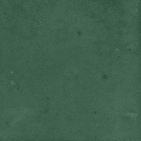 40843_SAMIRA GREEN LT//R Harmony Samira