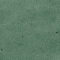 40843_SAMIRA GREEN LT//R Harmony Samira