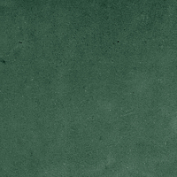 40843_SAMIRA GREEN LT//R Harmony Samira