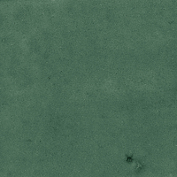 40843_SAMIRA GREEN LT//R Harmony Samira