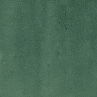 40843_SAMIRA GREEN LT//R Harmony Samira