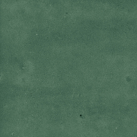 40843_SAMIRA GREEN LT//R Harmony Samira