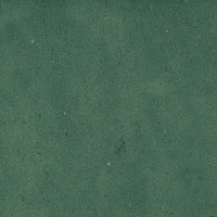 40843_SAMIRA GREEN LT//R Harmony Samira