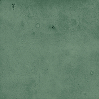 40843_SAMIRA GREEN LT//R Harmony Samira