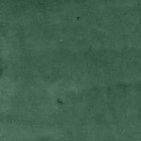 40843_SAMIRA GREEN LT//R Harmony Samira