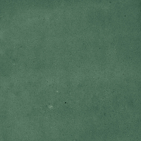 40843_SAMIRA GREEN LT//R Harmony Samira