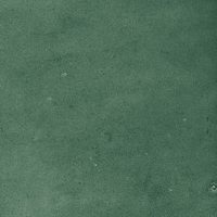 40843_SAMIRA GREEN LT//R Harmony Samira