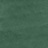 40843_SAMIRA GREEN LT//R Harmony Samira