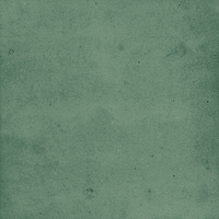 40843_SAMIRA GREEN LT//R Harmony Samira