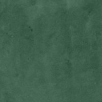 40843_SAMIRA GREEN LT//R Harmony Samira